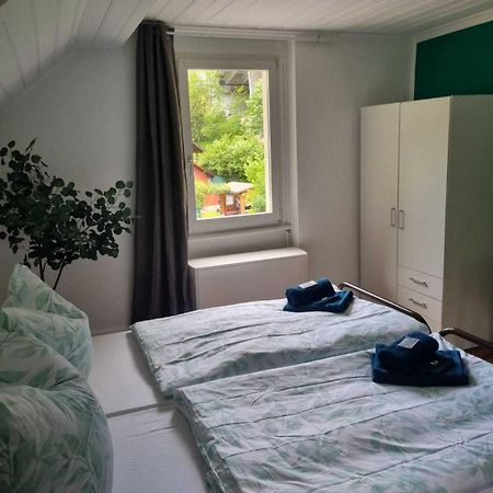 Hotel - Haus Biasca Gurtnellen Εξωτερικό φωτογραφία